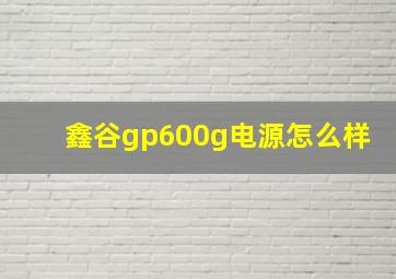 鑫谷gp600g电源怎么样