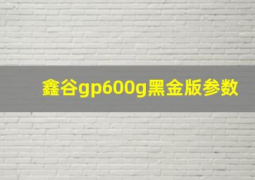 鑫谷gp600g黑金版参数