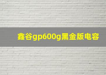 鑫谷gp600g黑金版电容