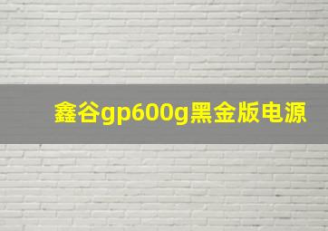 鑫谷gp600g黑金版电源