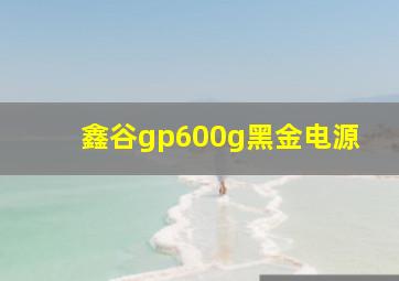 鑫谷gp600g黑金电源