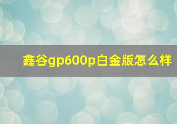 鑫谷gp600p白金版怎么样