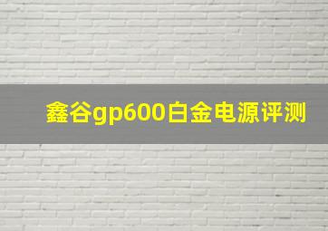 鑫谷gp600白金电源评测