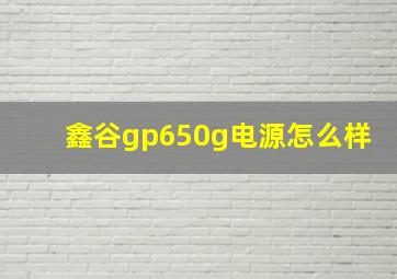 鑫谷gp650g电源怎么样