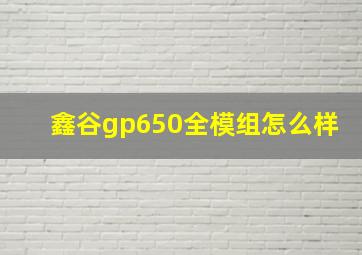 鑫谷gp650全模组怎么样