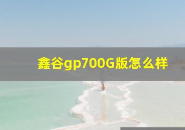 鑫谷gp700G版怎么样