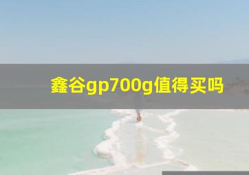 鑫谷gp700g值得买吗