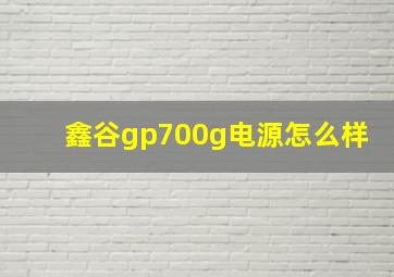 鑫谷gp700g电源怎么样