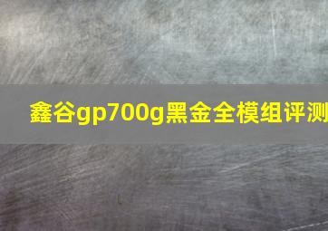 鑫谷gp700g黑金全模组评测