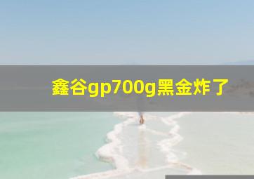 鑫谷gp700g黑金炸了