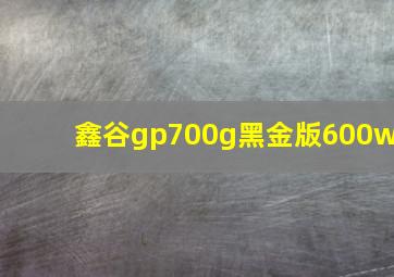 鑫谷gp700g黑金版600w