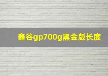 鑫谷gp700g黑金版长度