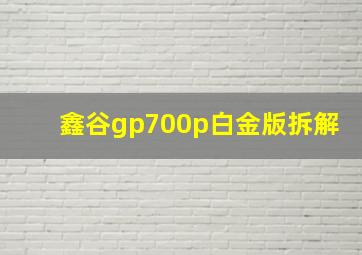 鑫谷gp700p白金版拆解