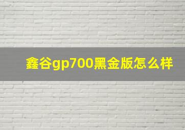 鑫谷gp700黑金版怎么样