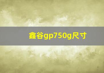 鑫谷gp750g尺寸