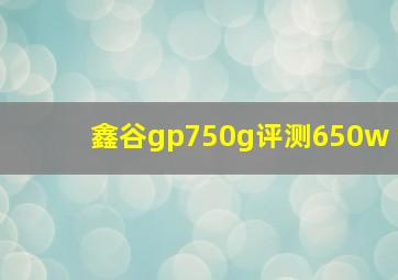 鑫谷gp750g评测650w