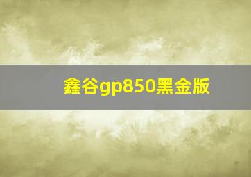 鑫谷gp850黑金版