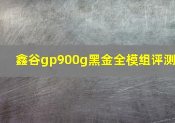 鑫谷gp900g黑金全模组评测