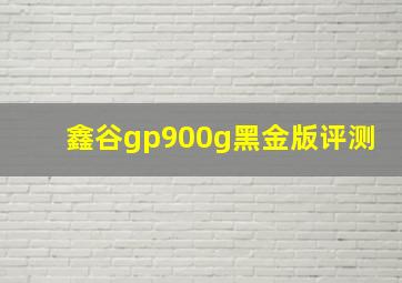 鑫谷gp900g黑金版评测