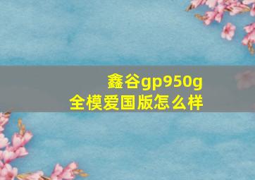 鑫谷gp950g全模爱国版怎么样