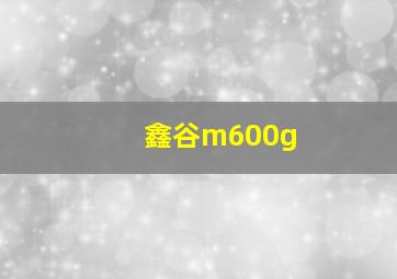 鑫谷m600g