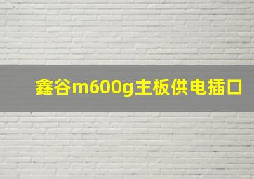 鑫谷m600g主板供电插口