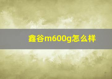 鑫谷m600g怎么样