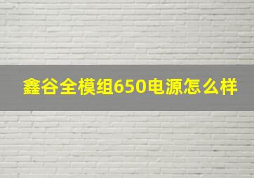 鑫谷全模组650电源怎么样