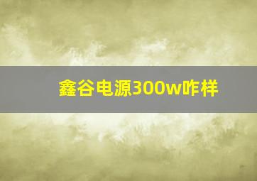 鑫谷电源300w咋样