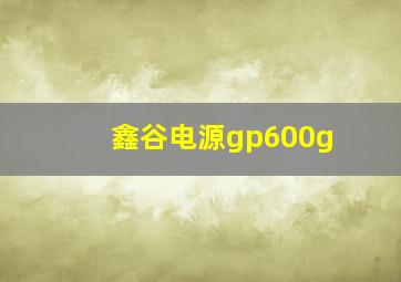 鑫谷电源gp600g