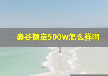 鑫谷额定500w怎么样啊