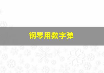 钢琴用数字弹