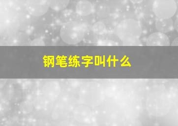 钢笔练字叫什么