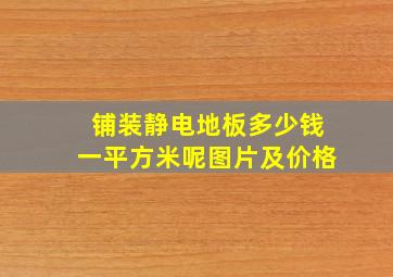 铺装静电地板多少钱一平方米呢图片及价格