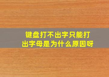 键盘打不出字只能打出字母是为什么原因呀