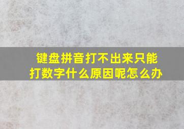 键盘拼音打不出来只能打数字什么原因呢怎么办