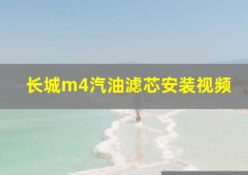 长城m4汽油滤芯安装视频