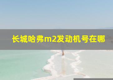 长城哈弗m2发动机号在哪