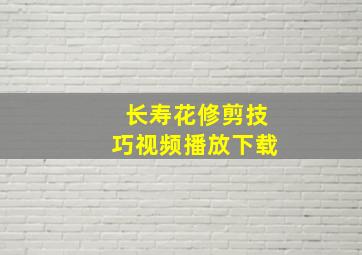 长寿花修剪技巧视频播放下载