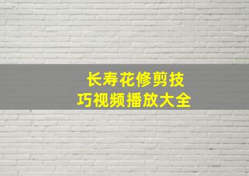 长寿花修剪技巧视频播放大全