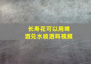 长寿花可以用啤酒兑水喷洒吗视频