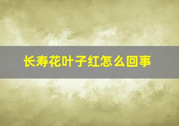 长寿花叶子红怎么回事