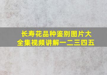 长寿花品种鉴别图片大全集视频讲解一二三四五