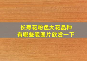 长寿花粉色大花品种有哪些呢图片欣赏一下