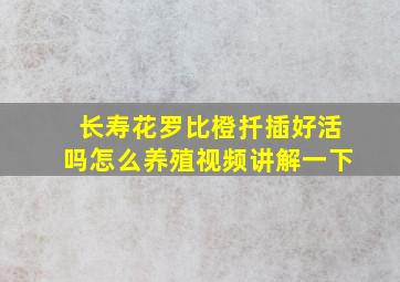 长寿花罗比橙扦插好活吗怎么养殖视频讲解一下