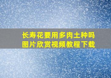 长寿花要用多肉土种吗图片欣赏视频教程下载