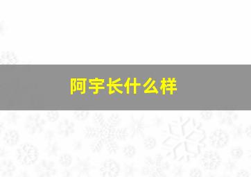 阿宇长什么样