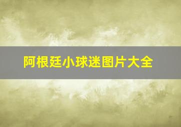 阿根廷小球迷图片大全