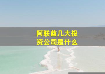 阿联酋几大投资公司是什么