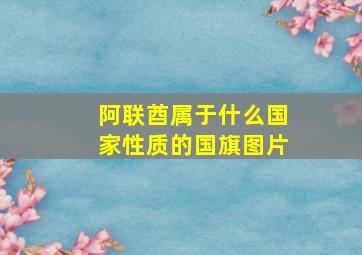 阿联酋属于什么国家性质的国旗图片